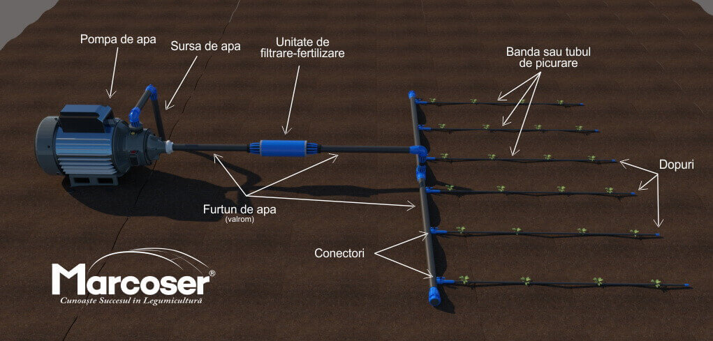 Schema instalatie de irigare prin picurare Schema instalatie de irigare prin picurare - banda DG20