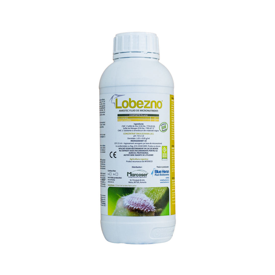 LOBEZNO