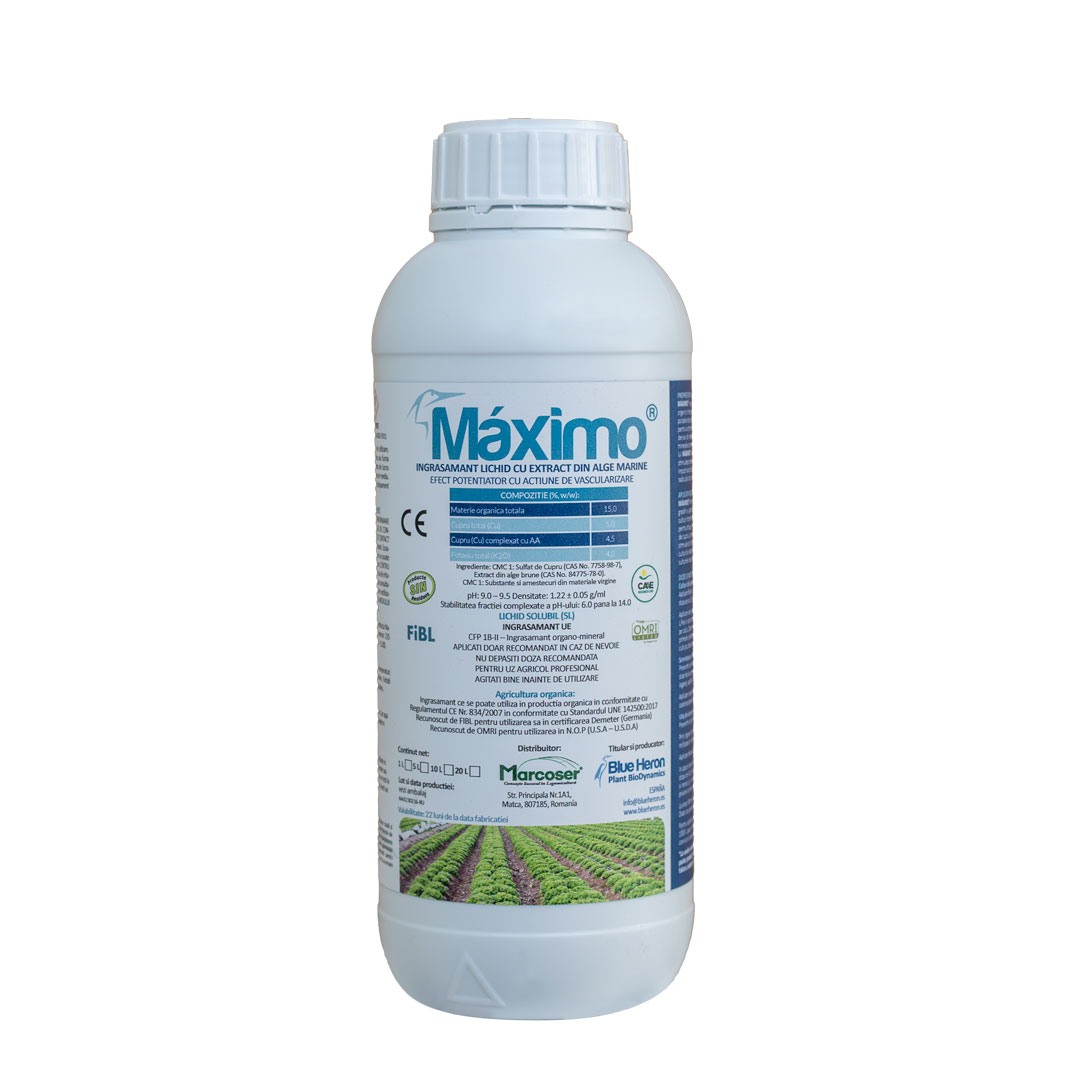 MAXIMO